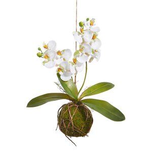 NWT FAUX REAL TOUCH WHITE ORCHID SPRAY W/MOSS BALL 15"